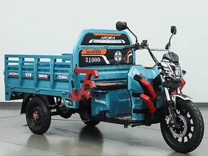Senetle 3 Tekerlekli Moped Arora AR10000 60 Taksitle Sıfır Motor